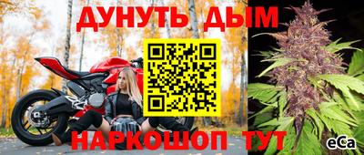 спиды Краснодар