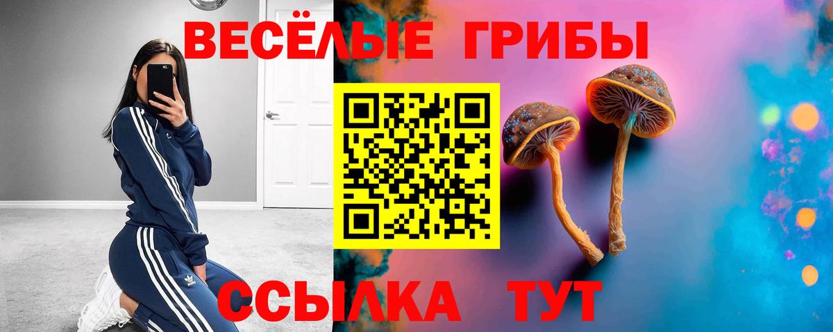 Галлюциногенные грибы ЛСД Гусь-Хрустальный